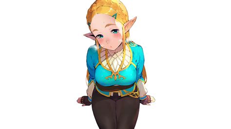 Legend of Zelda Huge Boobs